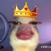 pnq2111