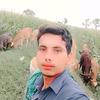 waseem.ali33337