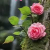 rrr588983
