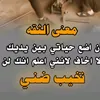 user59461746730501