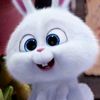 bunny_neo25