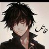 gull.hasnan6162