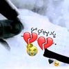 user4041034386270