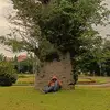 ari.ra5