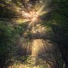 BEAUTIFUL NATURE