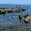 kazu03_1030