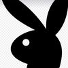 playboy...23