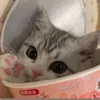 hasnayasmine7