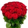 md.rocky9346