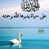 user5922482363158