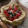 amiurie_rv