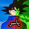 yasr_313_