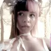ccupid.dz