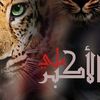 user8823663386661
