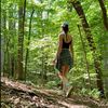 luxinthewild