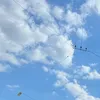 tu_ana36