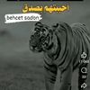mohssenbenali66