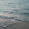 iot_515