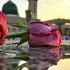 nour34412