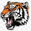 tigre_espacial59