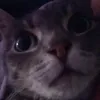 larissa._vx