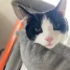 alex_77801