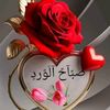 user1142826097118