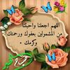 aliali.15_5