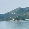 titta_069