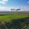 alaqed111