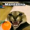 diego_armando026