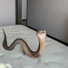 kevduxk