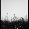 ayomide_2450