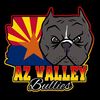 az_valley_bullies