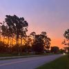 bristolmattox