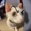 trungtinfan_ronado