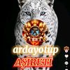 ardayoutube