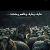 m84mohamed