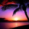 Hawaii Walking Tours