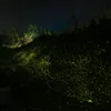 trydepngaiyeu