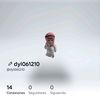 dyl061210