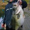 10_pound_bas_slayer