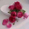 user4714619757617