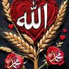 mfiaz78618