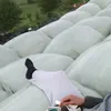 dwaidooo