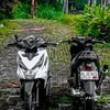 habibb511