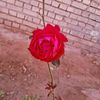 user5302119297761