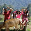 clara.natahania.a
