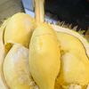 durian...123
