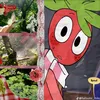 sam_mika_ash
